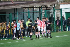 Juve Stabia - Vicenza (Cannavale/TuttoCalciatori)