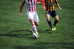 Juve Stabia - Vicenza (Cannavale/TuttoCalciatori)