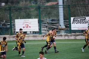 Juve Stabia - Vicenza (Cannavale/TuttoCalciatori)