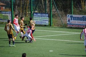 Juve Stabia - Vicenza (Cannavale/TuttoCalciatori)